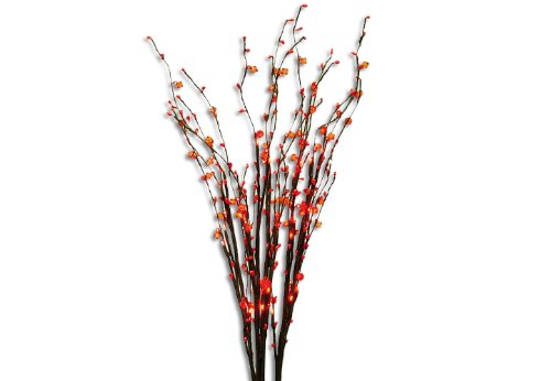 30er LED Deko Leuchte rot Zweige Innen Aussen Lichterkette Weihnachten XMAS